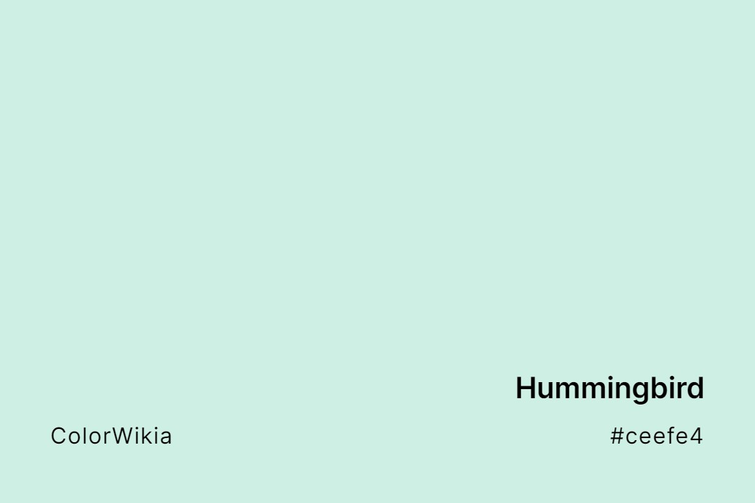 Hummingbird Color – #ceefe4: Codes and Complete Breakdown