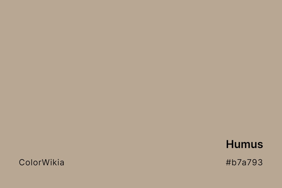 Humus Color – #b7a793: Codes and Complete Breakdown