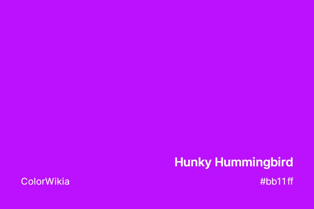 Hunky Hummingbird Color – #bb11ff: Codes and Complete Breakdown