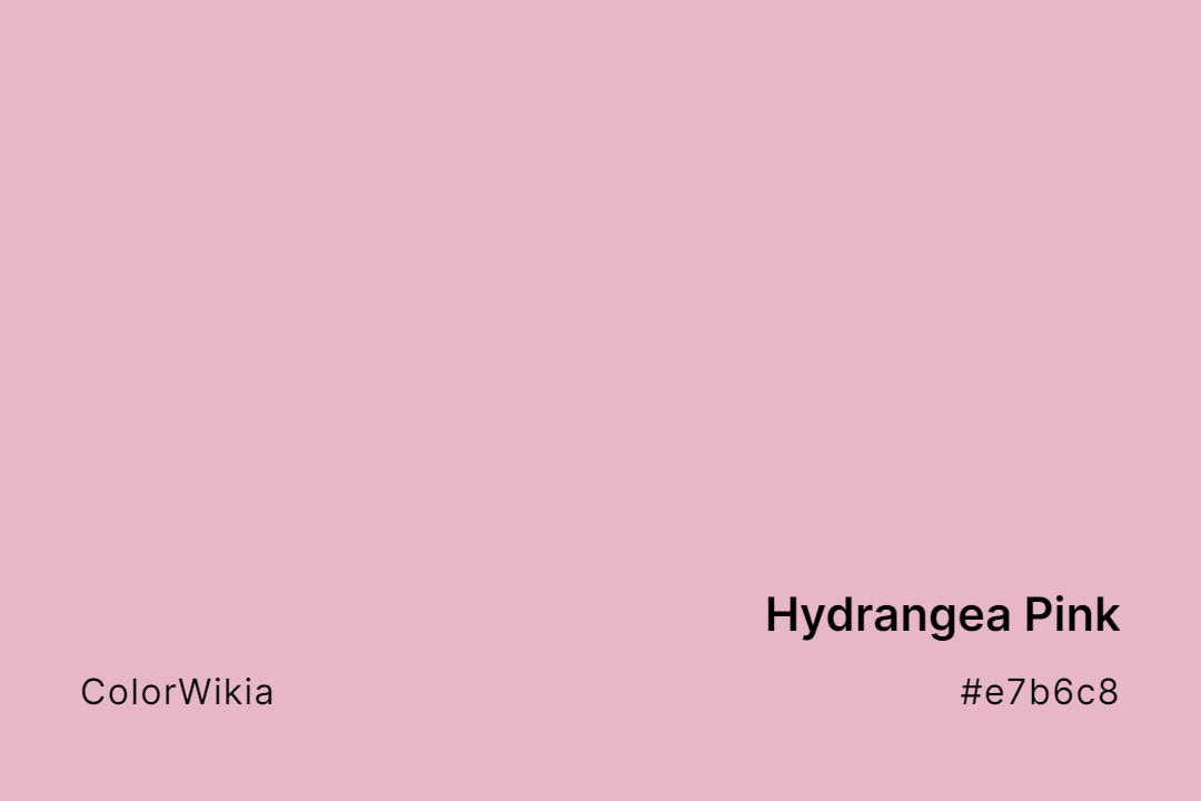 hydrangea pink color e7b6c8