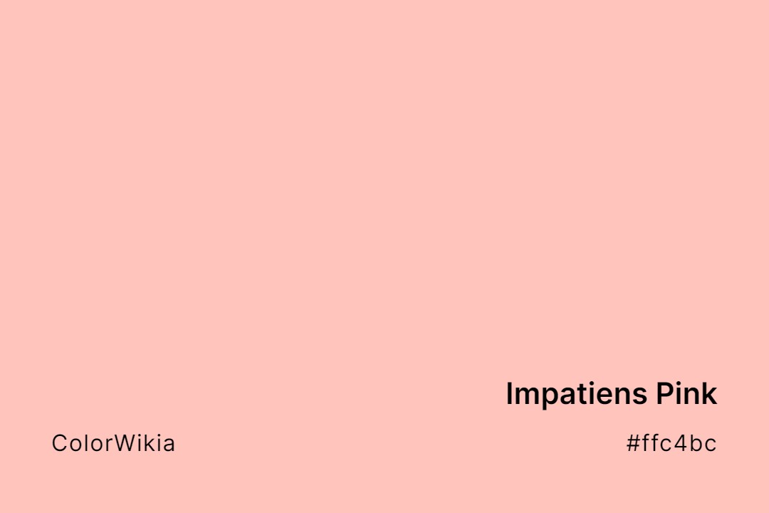 Impatiens Pink Color – #ffc4bc: Codes and Complete Breakdown