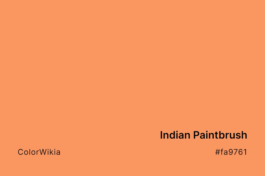 indian paintbrush color fa9761
