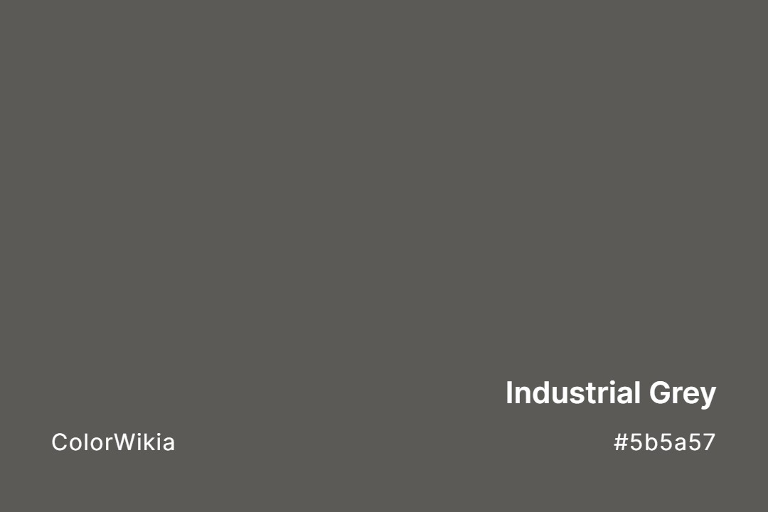 industrial grey color 5b5a57