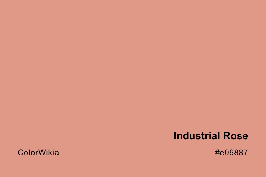 industrial rose color e09887