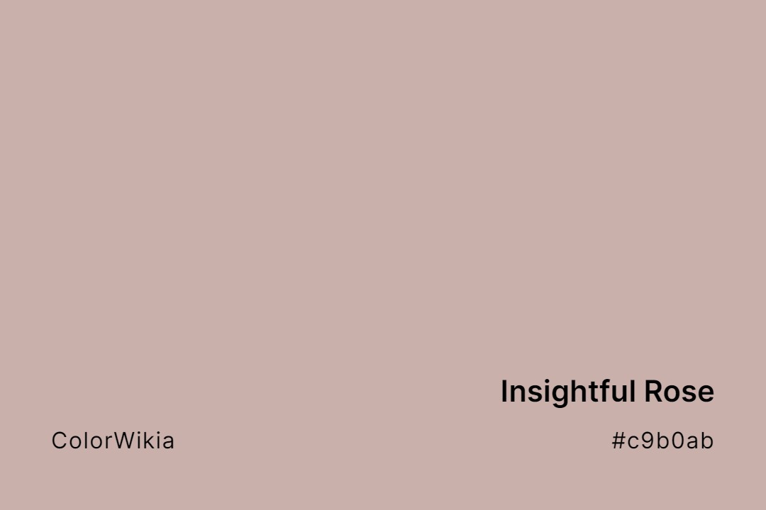 Insightful Rose Color – #c9b0ab: Codes and Complete Breakdown
