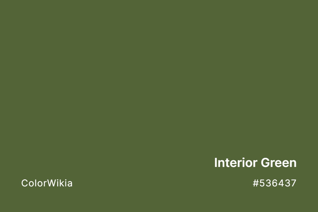 Interior Green Color – #536437: Codes and Complete Breakdown