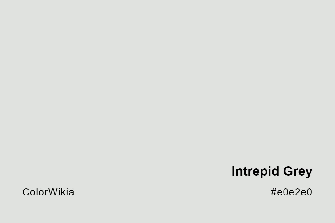 Intrepid Grey Color – #e0e2e0: Codes and Complete Breakdown