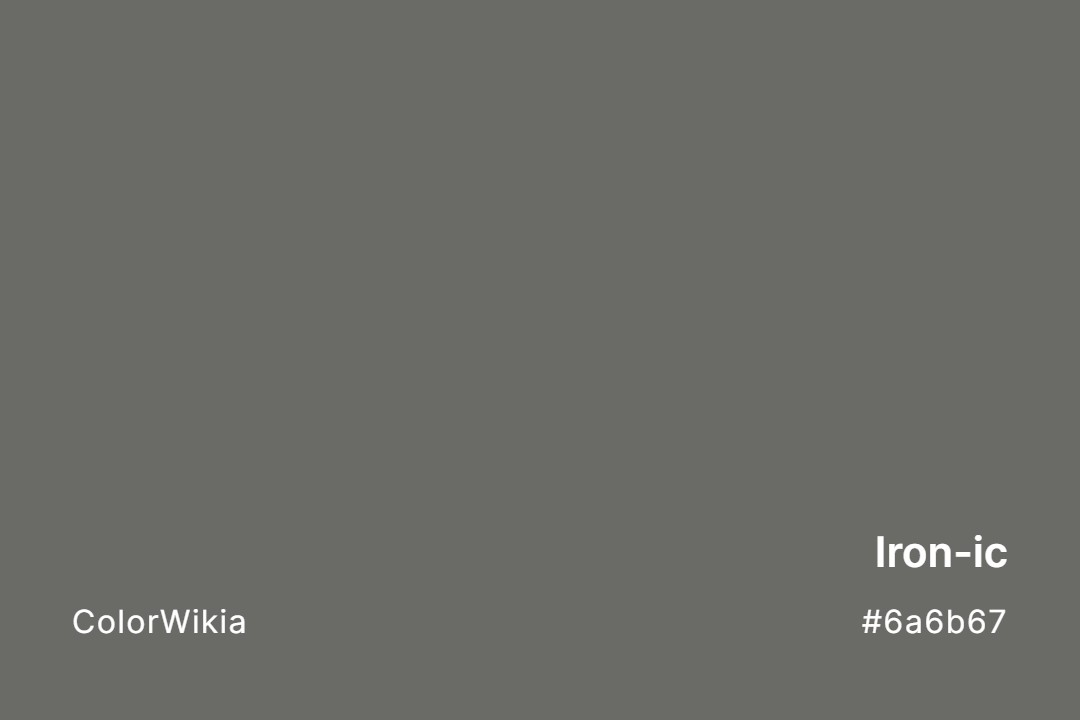 Iron-ic Color – #6a6b67: Codes and Complete Breakdown