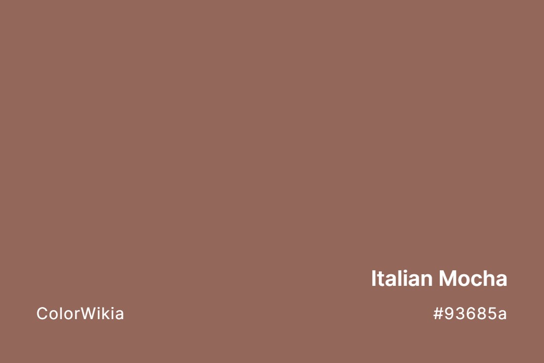 italian mocha color 93685a
