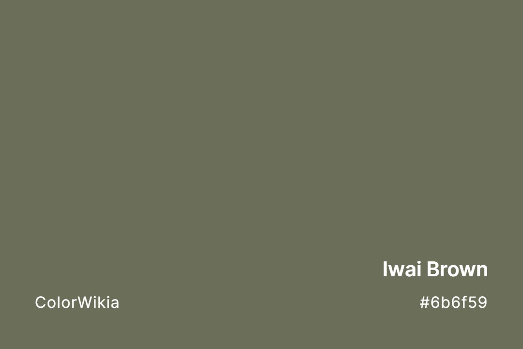 Iwai Brown Color – #6b6f59: Codes and Complete Breakdown