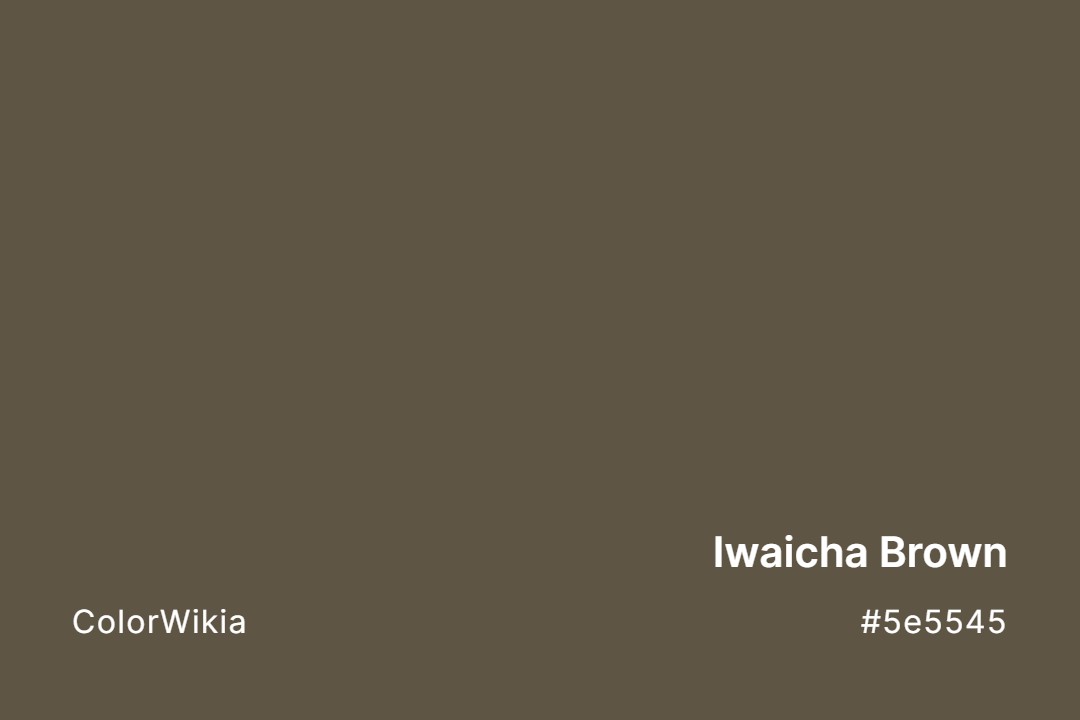 Iwaicha Brown Color – #5e5545: Codes and Complete Breakdown