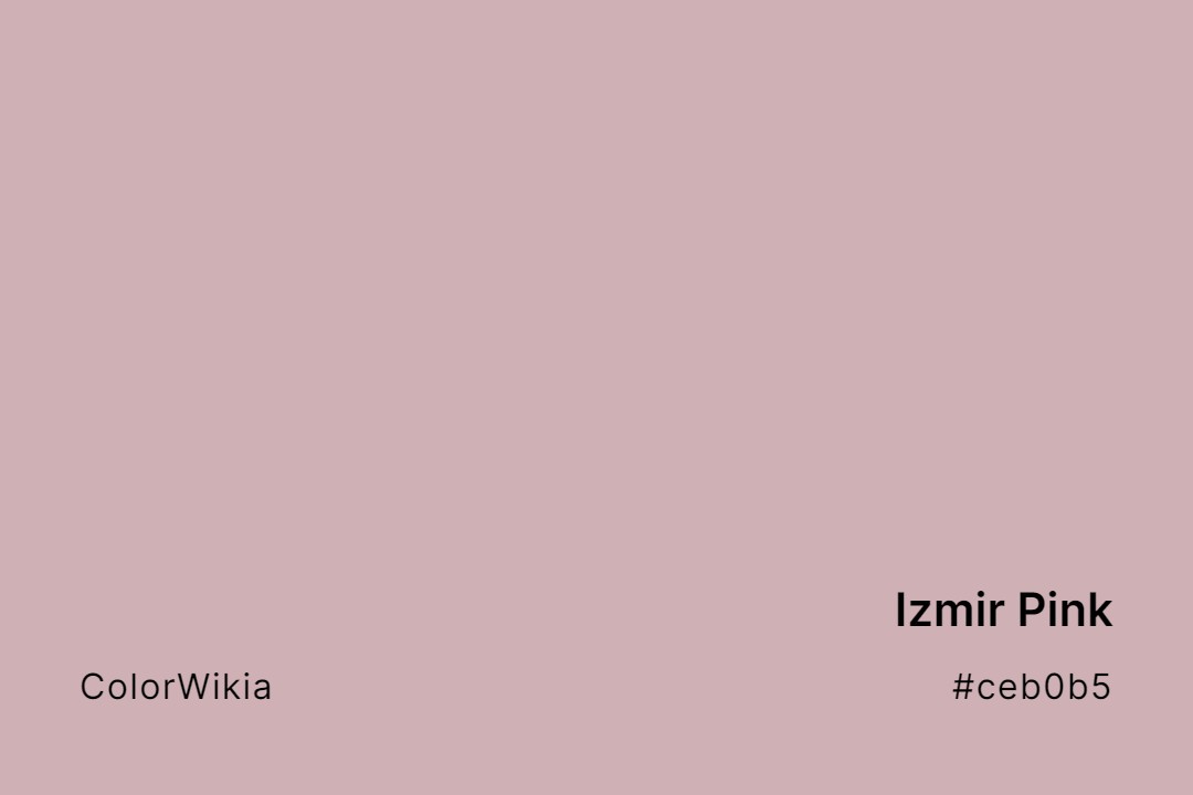 Izmir Pink Color – #ceb0b5: Codes and Complete Breakdown
