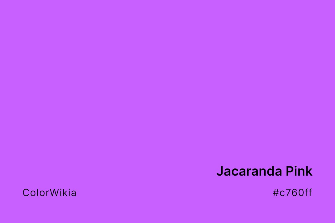 jacaranda pink color c760ff