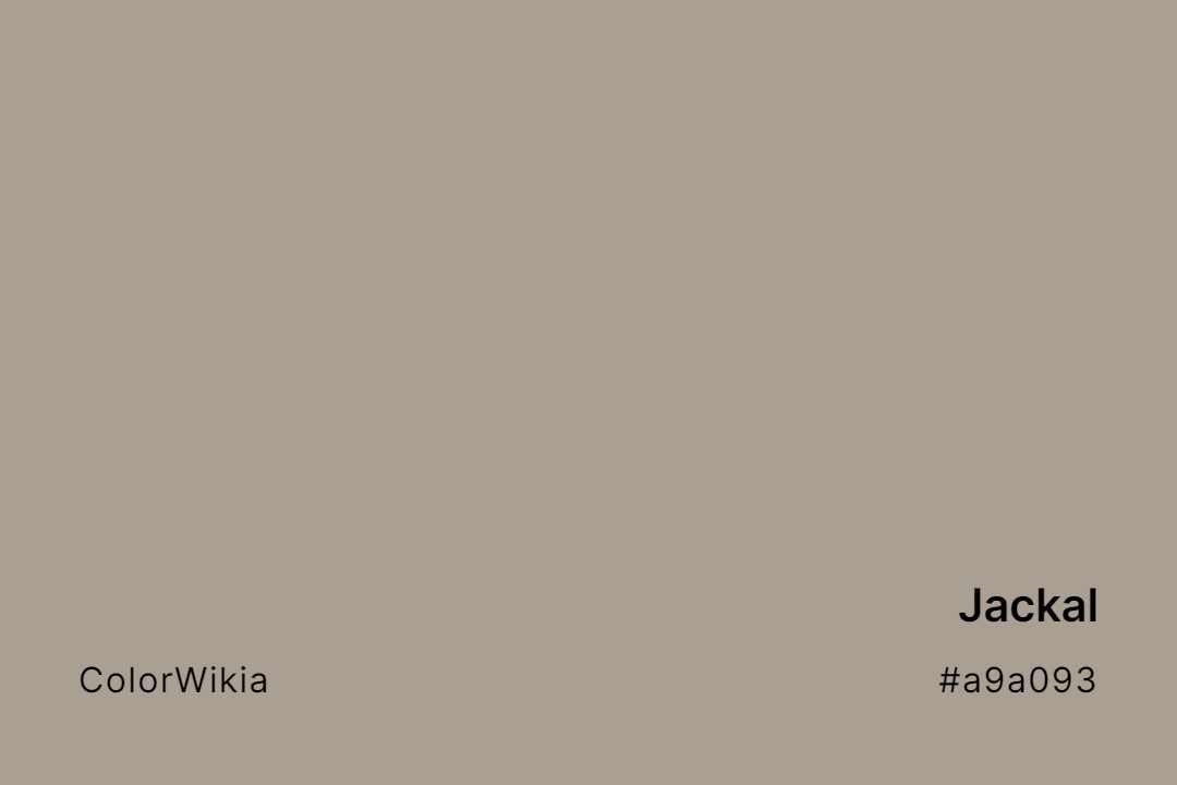 Jackal Color – #a9a093: Codes and Complete Breakdown