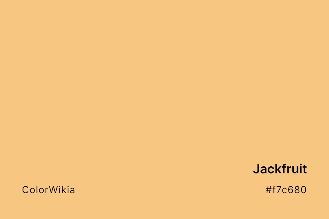 Jackfruit Color – #f7c680: Codes and Complete Breakdown