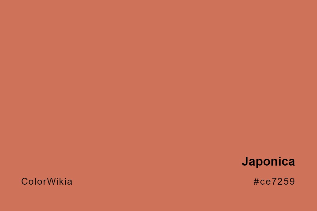 Japonica Color – #ce7259: Codes and Complete Breakdown