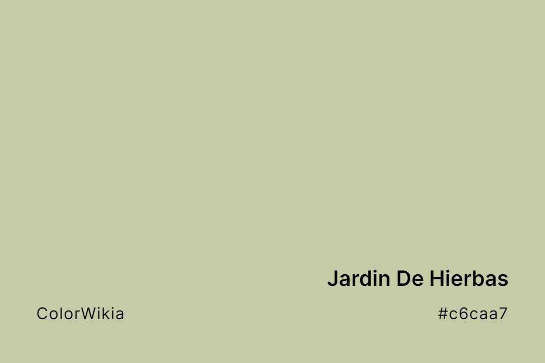 Jardin De Hierbas Color – #c6caa7: Codes and Complete Breakdown