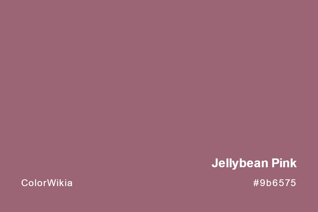 Jellybean Pink Color – #9b6575: Codes and Complete Breakdown