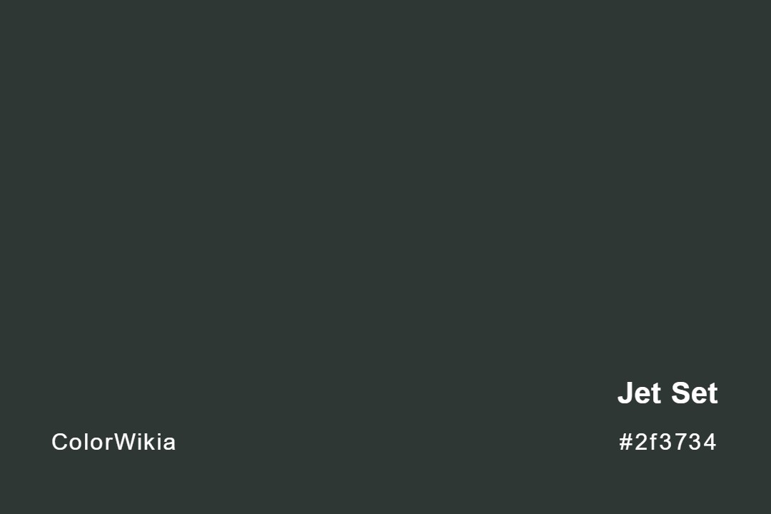 jet set color 2f3734