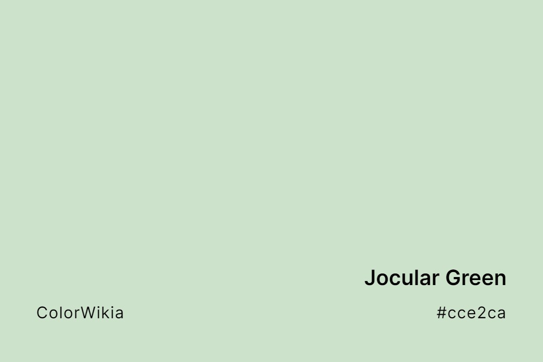 Jocular Green Color – #cce2ca: Codes and Complete Breakdown