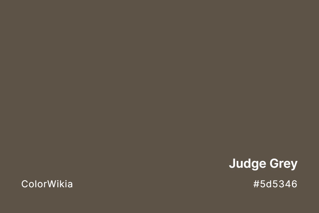 Judge Grey Color – #5d5346: Codes and Complete Breakdown
