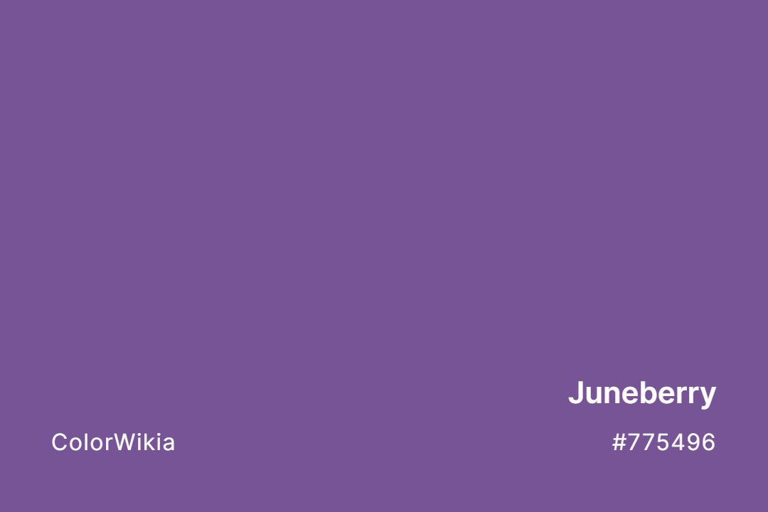Juneberry Color – #775496: Codes and Complete Breakdown
