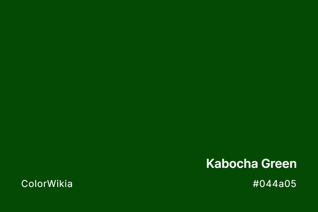 Kabocha Green Color – #044a05: Codes and Complete Breakdown