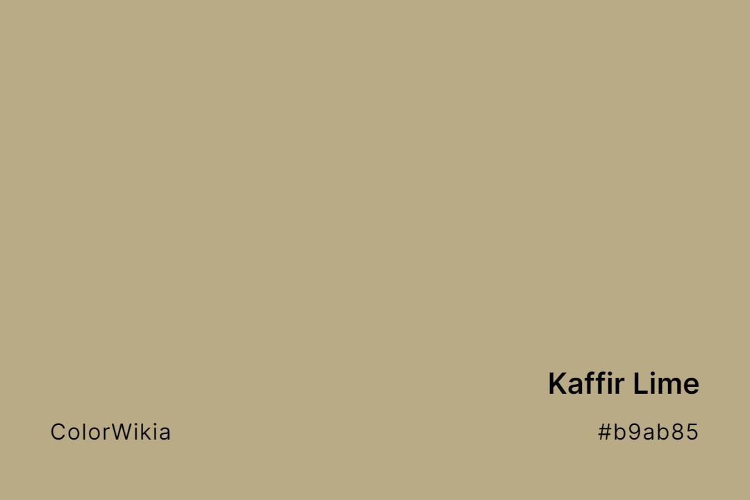 Kaffir Lime Color – #b9ab85: Codes and Complete Breakdown