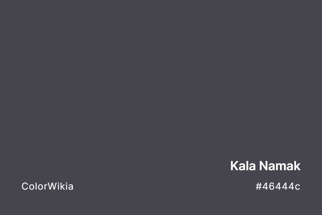 Kala Namak Color – #46444c: Codes and Complete Breakdown