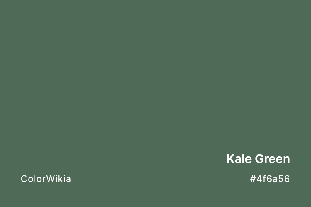 kale green color 4f6a56