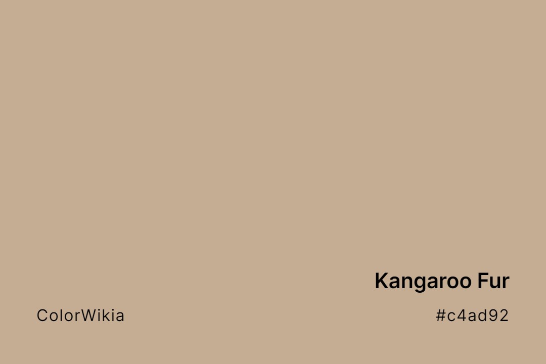 kangaroo fur color c4ad92
