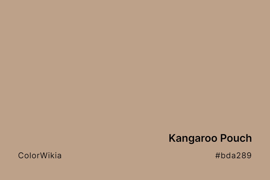 kangaroo pouch color bda289