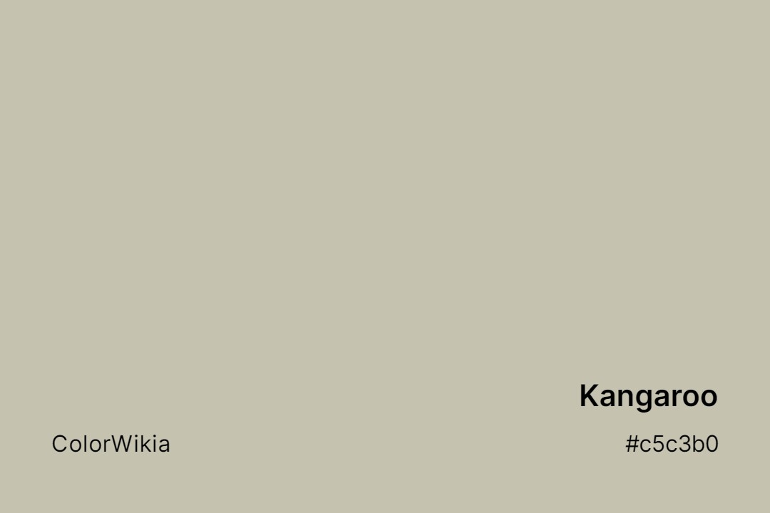 kangaroo color c5c3b0