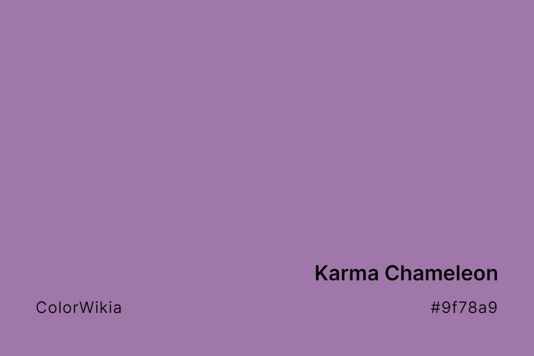 karma chameleon color 9f78a9