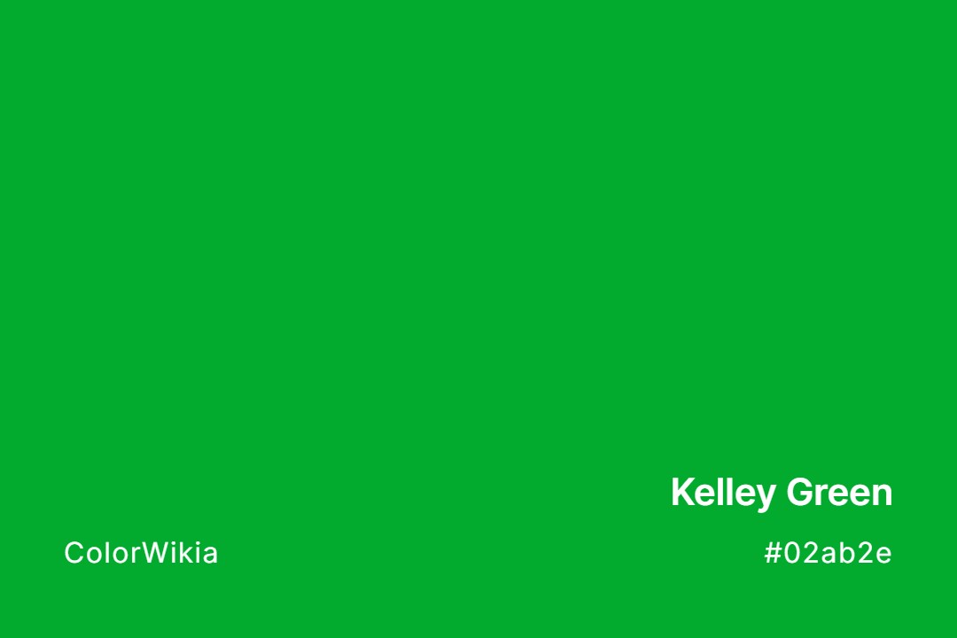 Kelley Green Color – #02ab2e: Codes and Complete Breakdown