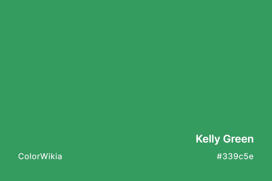 Kelly Green Color – #339c5e: Codes and Complete Breakdown