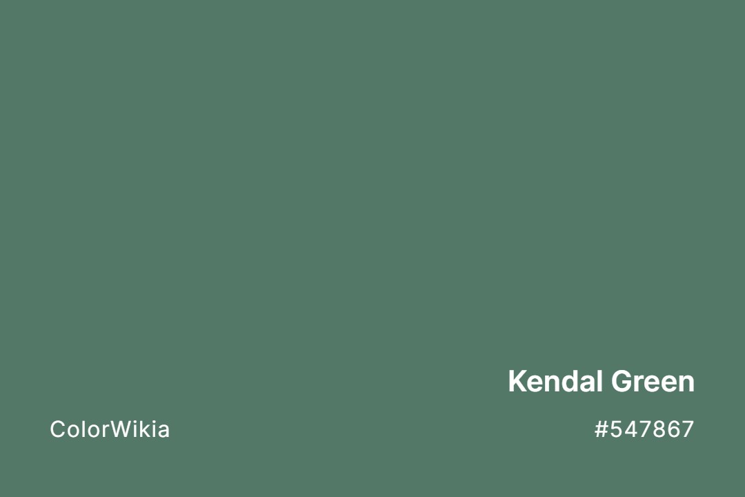 Kendal Green Color – #547867: Codes and Complete Breakdown