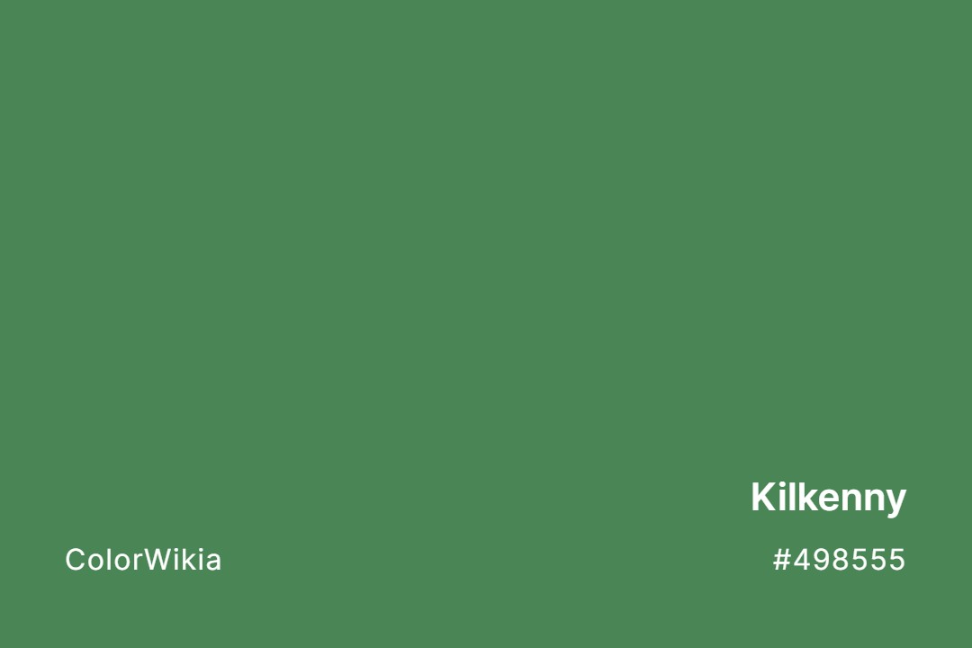 Kilkenny Color – #498555: Codes and Complete Breakdown