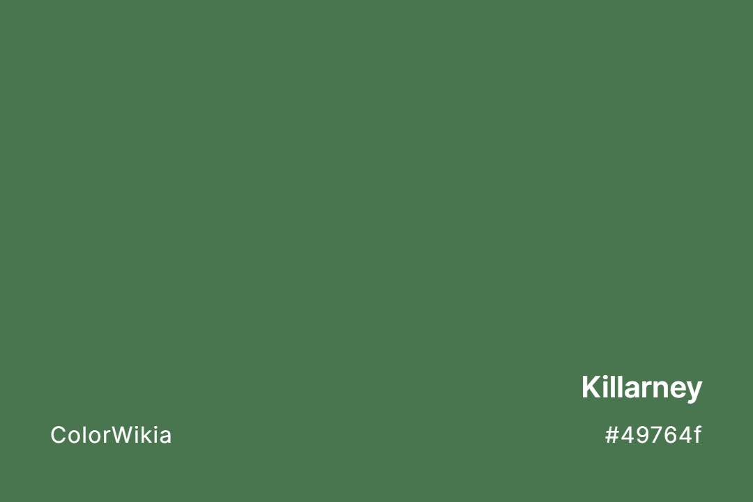 Killarney Color – #49764f: Codes and Complete Breakdown