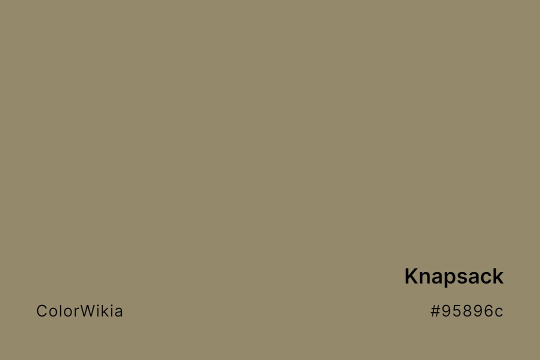 Knapsack Color – #95896c: Codes and Complete Breakdown