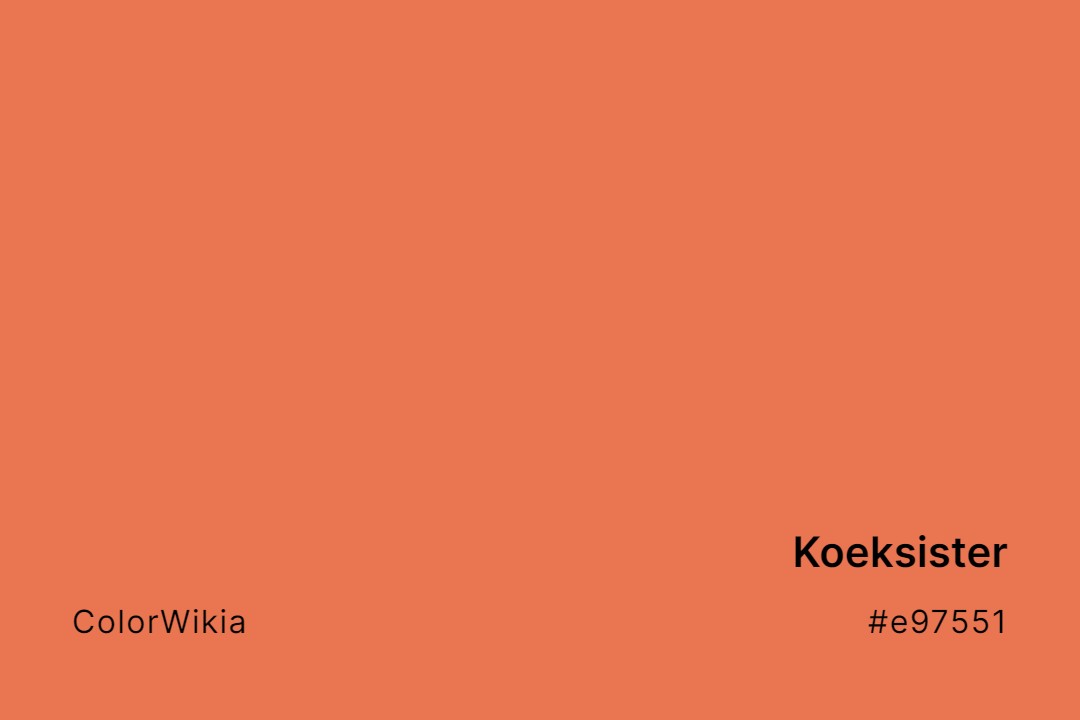 Koeksister Color – #e97551: Codes and Complete Breakdown