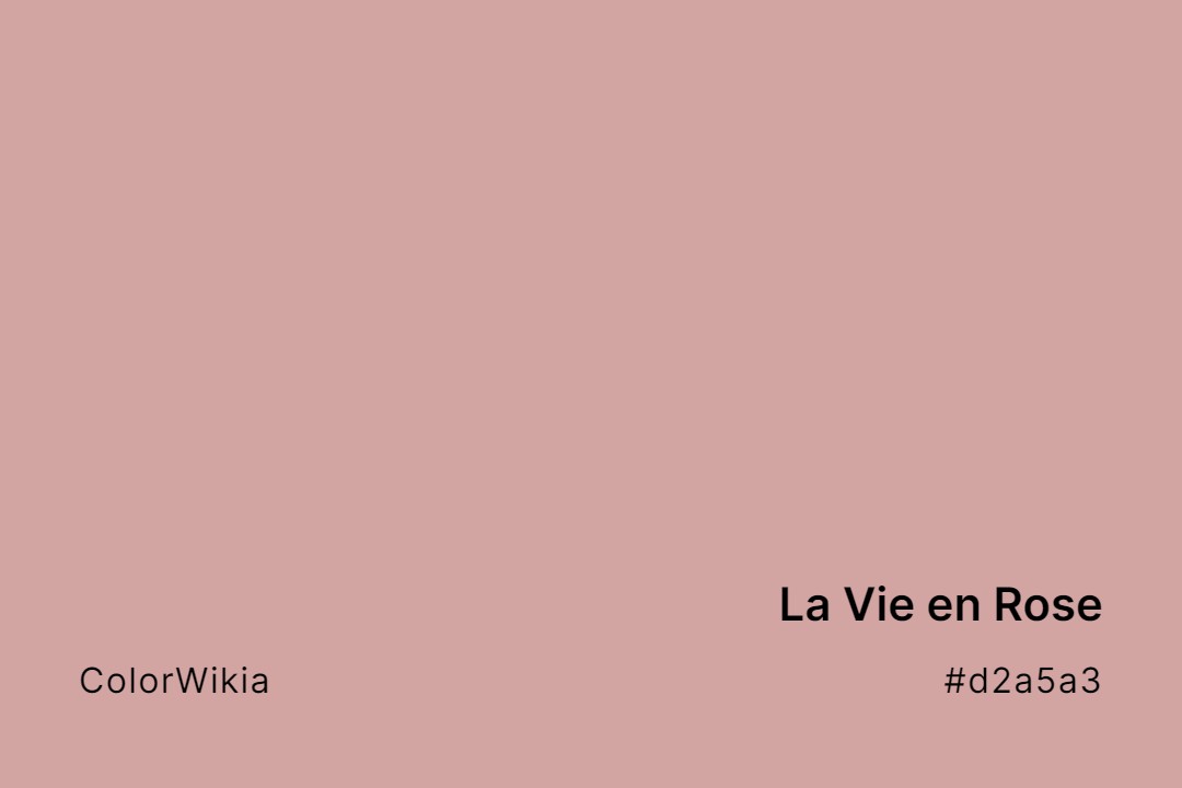 La Vie en Rose Color – #d2a5a3: Codes and Complete Breakdown