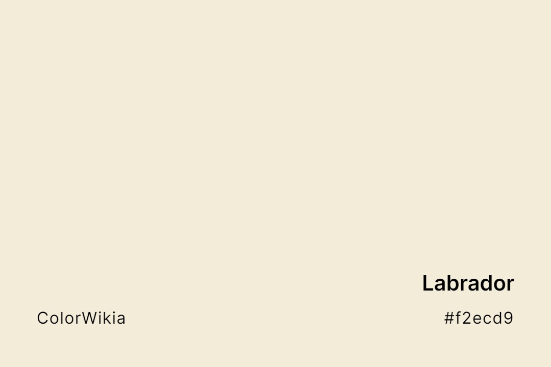 Labrador Color – #f2ecd9: Codes and Complete Breakdown