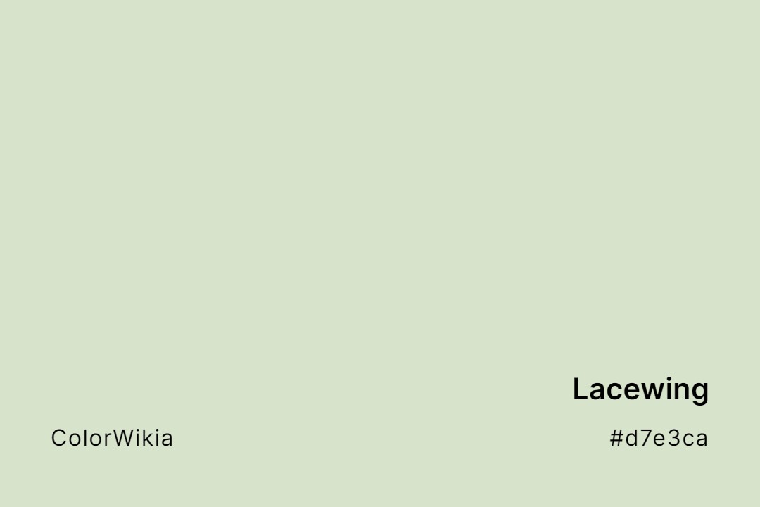 Lacewing Color – #d7e3ca: Codes and Complete Breakdown