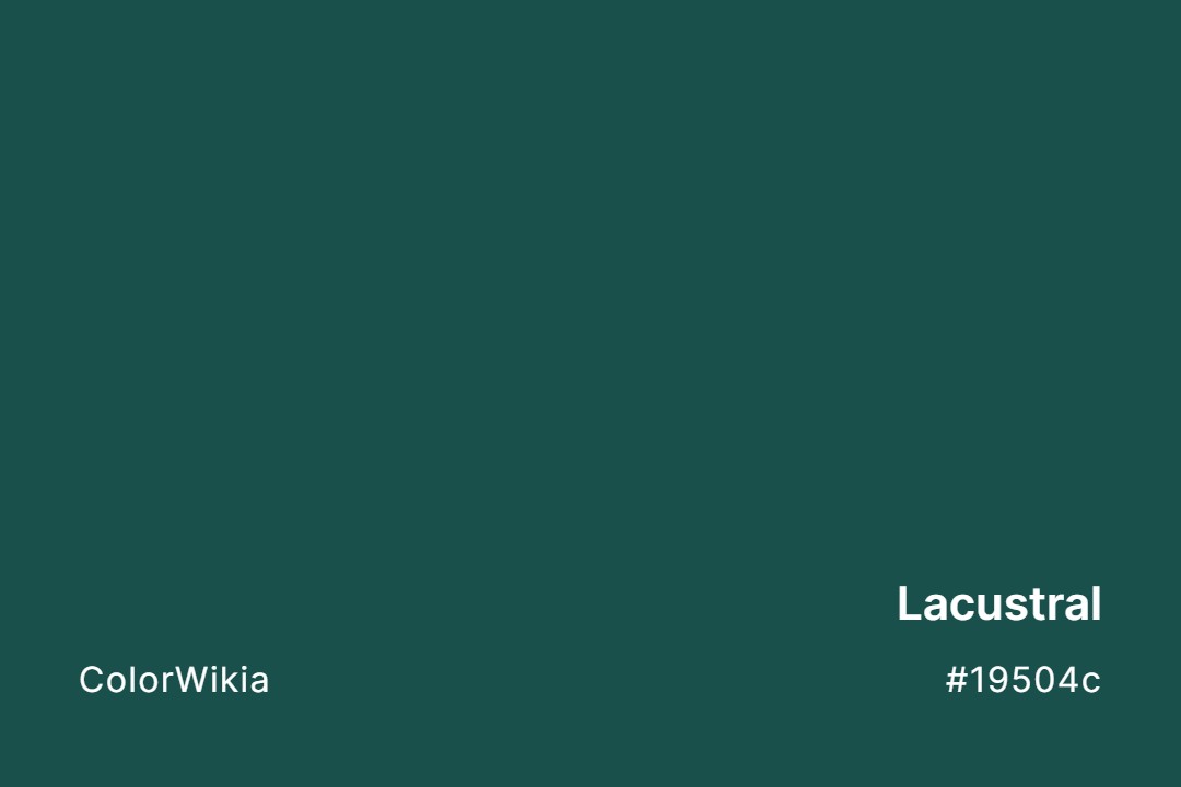 Lacustral Color – #19504c: Codes and Complete Breakdown