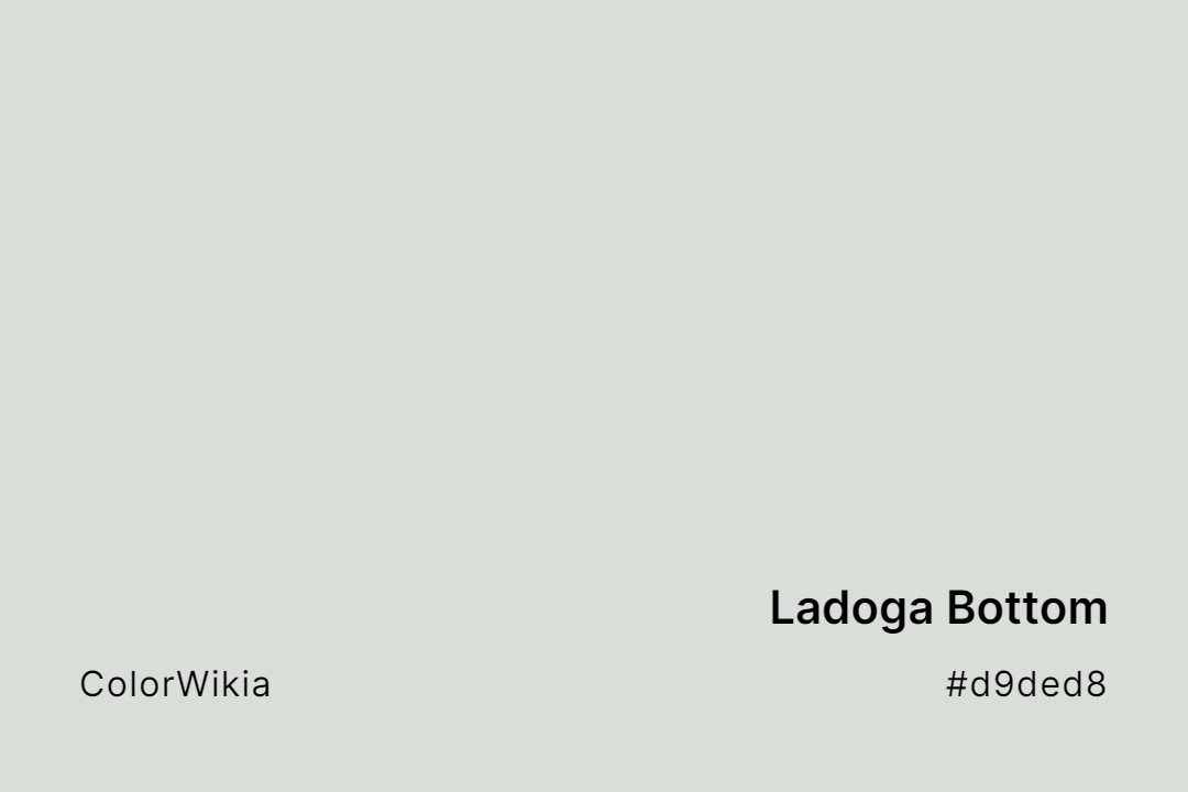 Ladoga Bottom Color – #d9ded8: Codes and Complete Breakdown