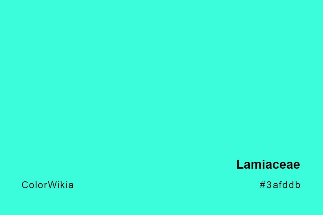 Lamiaceae Color – #3afddb: Codes and Complete Breakdown