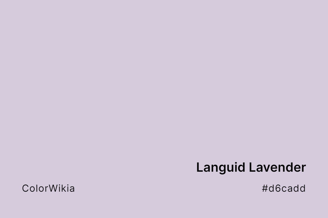 Languid Lavender Color – #d6cadd: Codes and Complete Breakdown