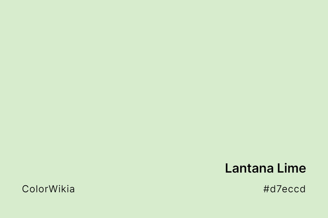 Lantana Lime Color – #d7eccd: Codes and Complete Breakdown