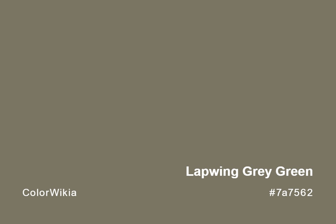 Lapwing Grey Green Color – #7a7562: Codes and Complete Breakdown